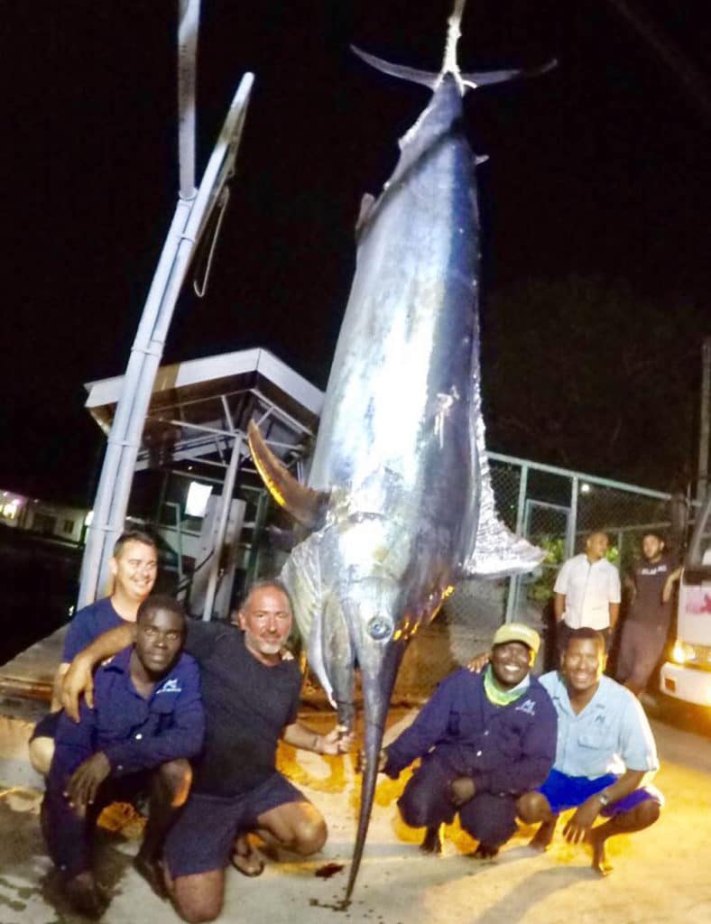 seychelles record black marlin