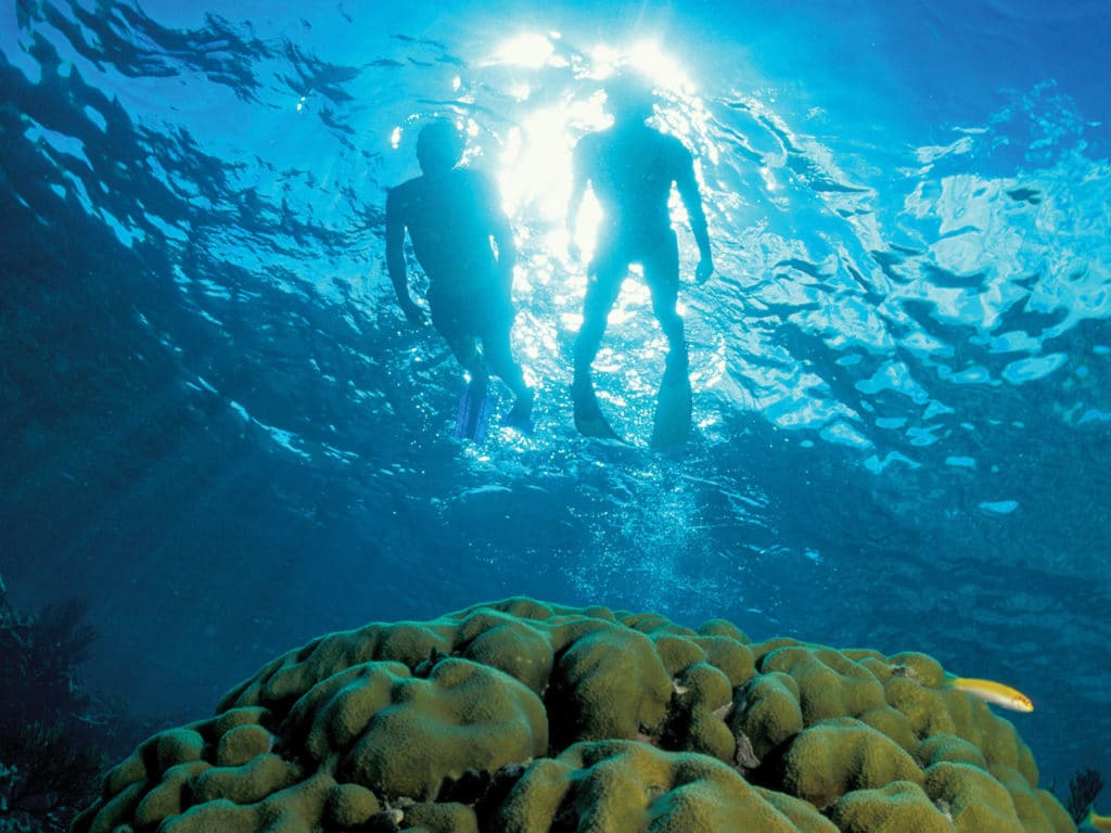 Two scuba divers snorkeling underwater in the Bahamas.