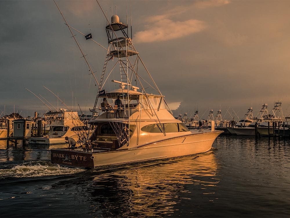 shark byte yacht sunset