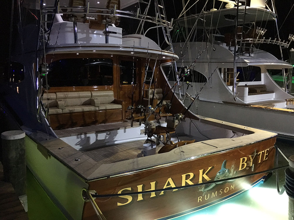 shark byte boat