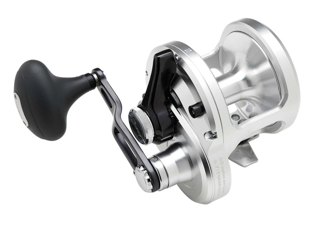 A Shimano Talica 20BFC sport fishing reel on a white background.