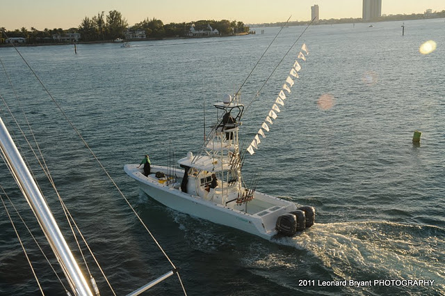silver sailfish_03.jpg