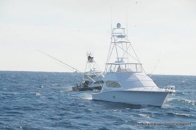 silver sailfish_11.jpg