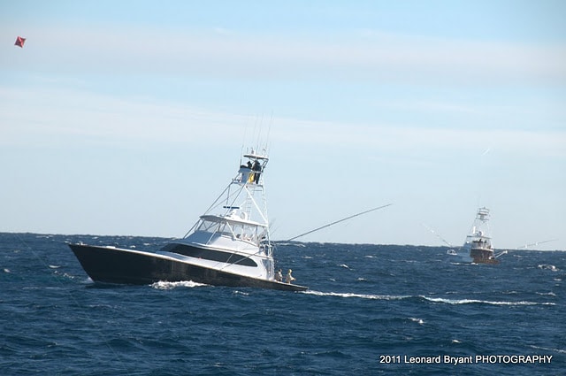 silver sailfish_12.jpg
