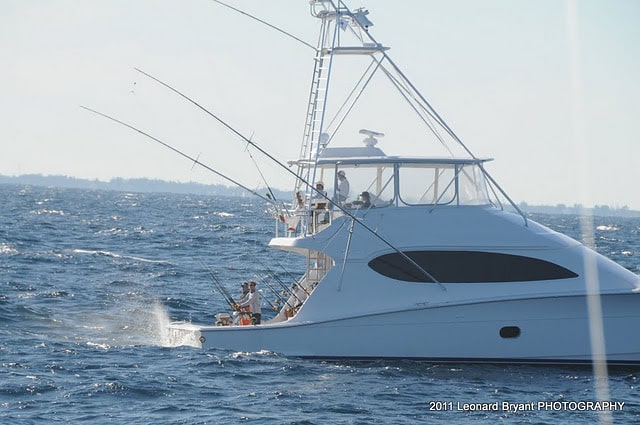 silver sailfish_16.jpg