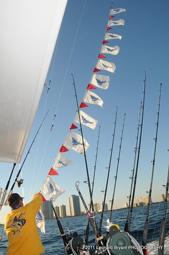 silver sailfish_18.jpg