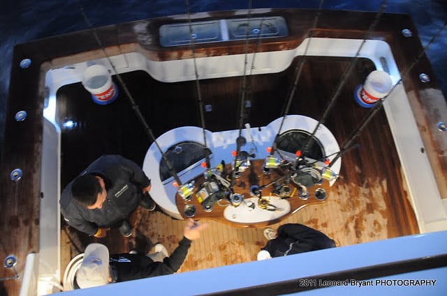 silver sailfish_ldb_6273.jpg