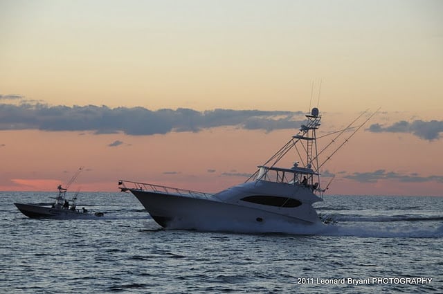silver sailfish_ldb_6294.jpg