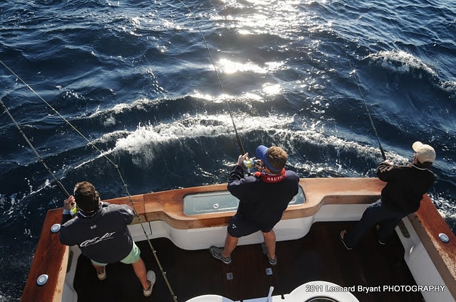 silver sailfish_ldb_6353.jpg