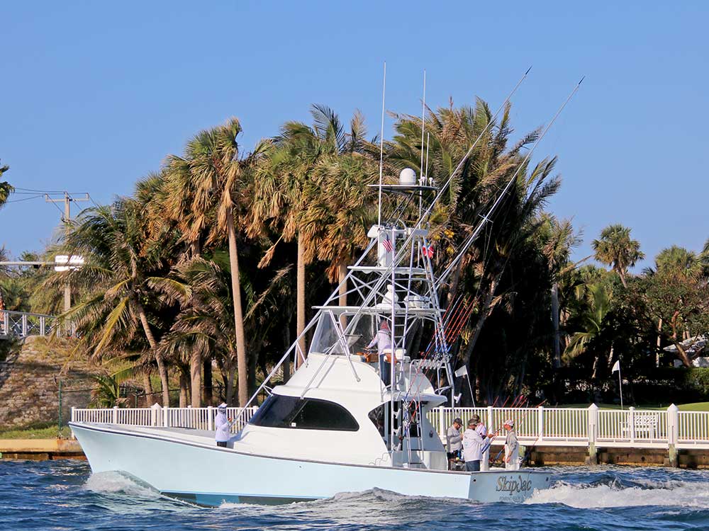 2018 sailfish challenge tournament