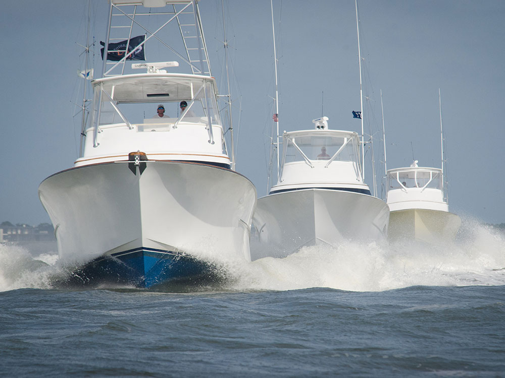 2017 carolina billfish cup