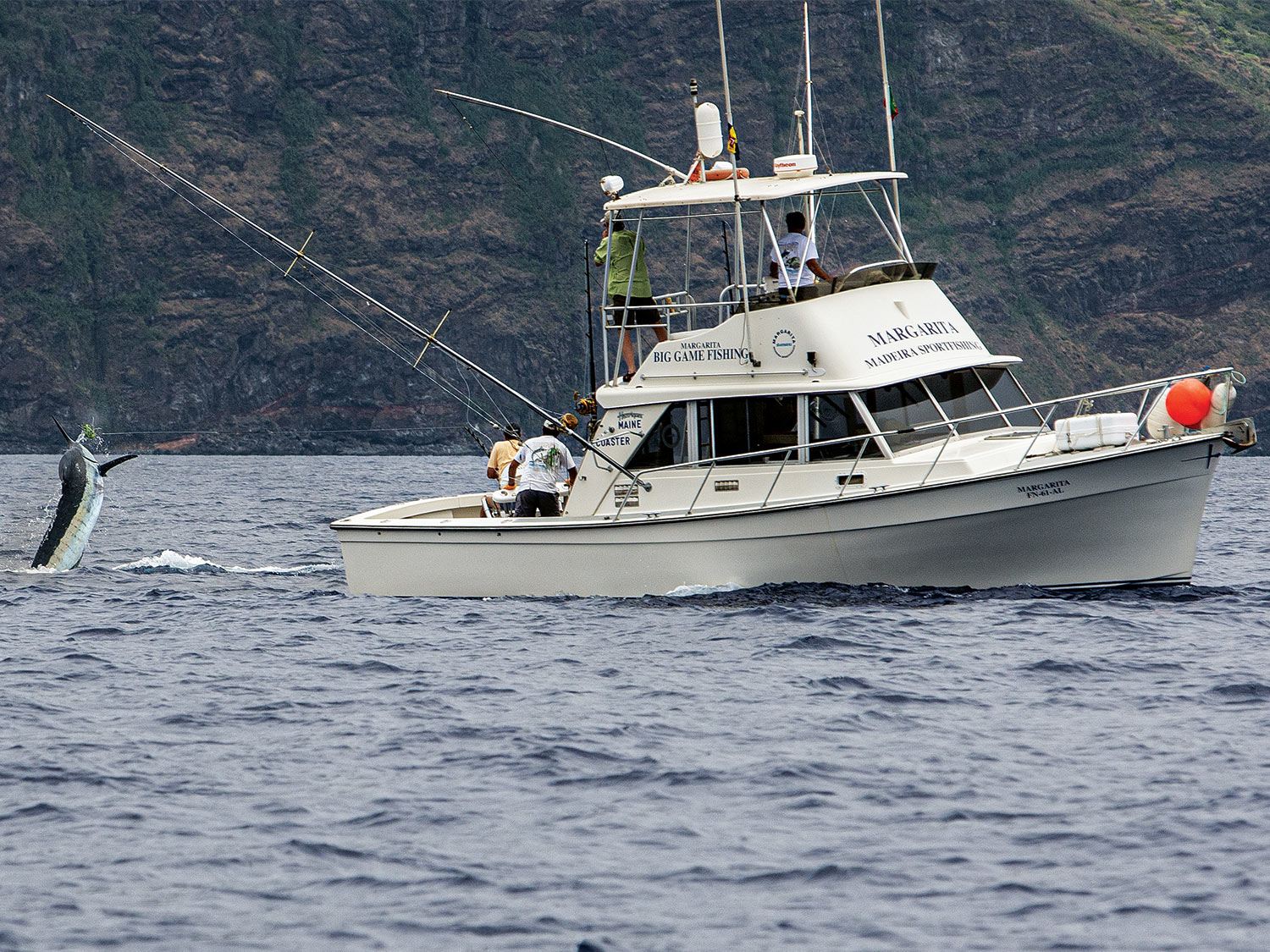 Madeira’s Blue Marlin Fishing | Marlin