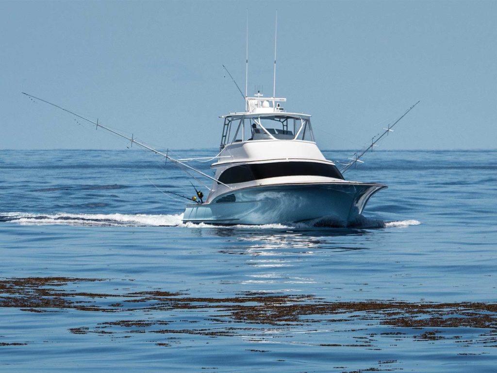 A sport fishing boat drives past a weedline on the ocean.