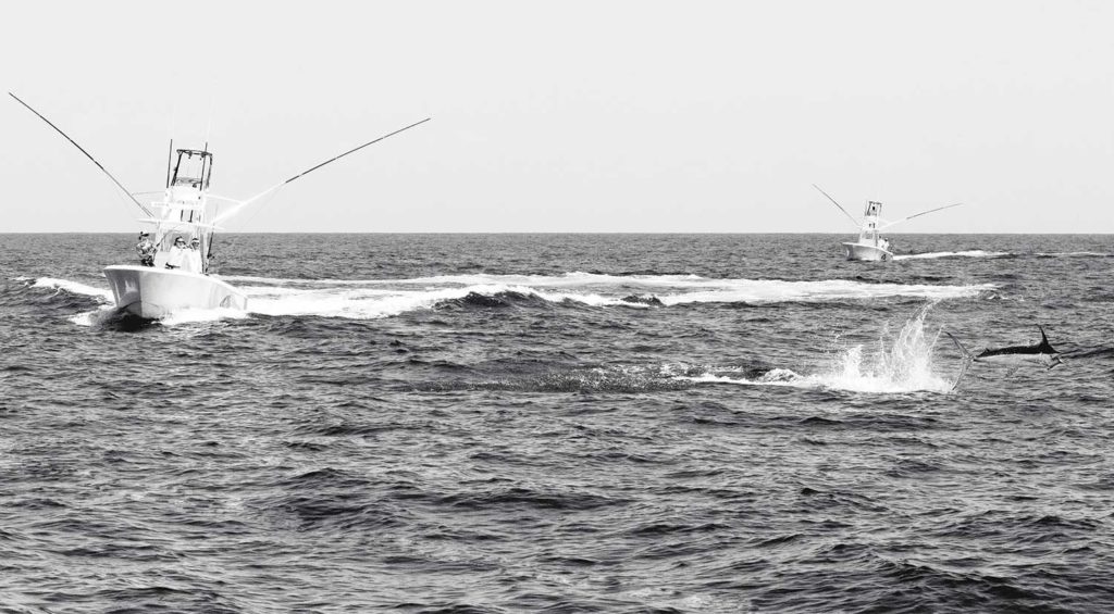 sport fishing boats on the water with a marlin leaping from the water