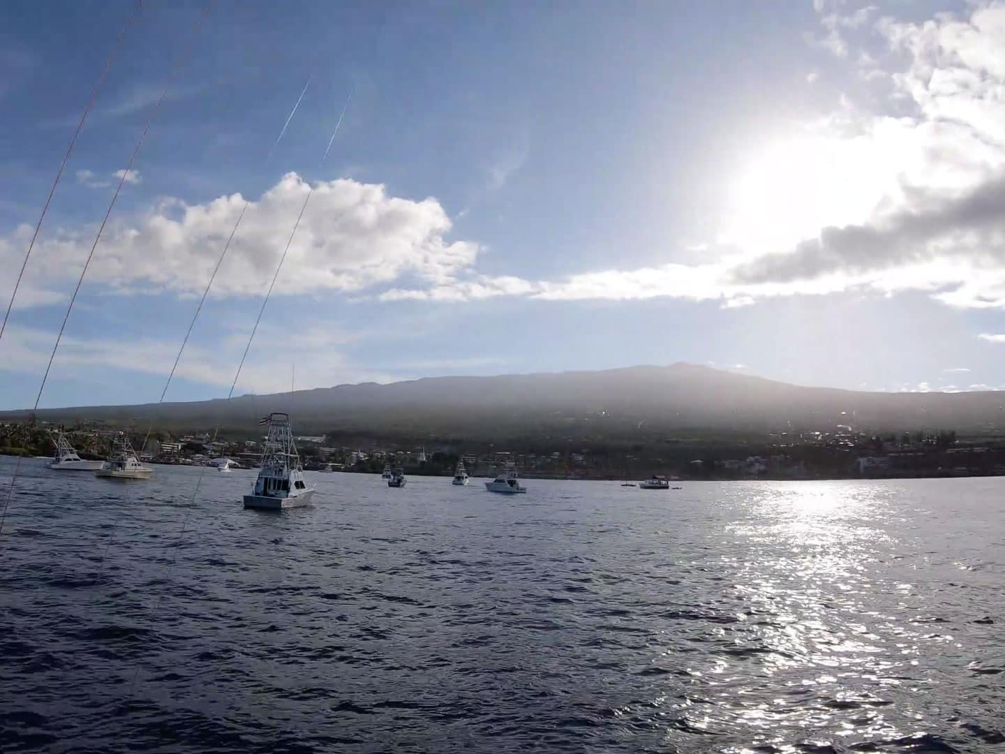 Visions of Granders: The HIBT | Marlin