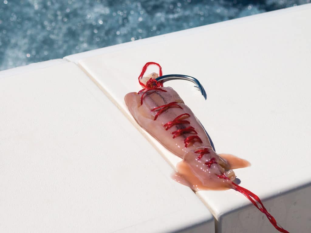 rigged squid for swordfish brett holden booby trap