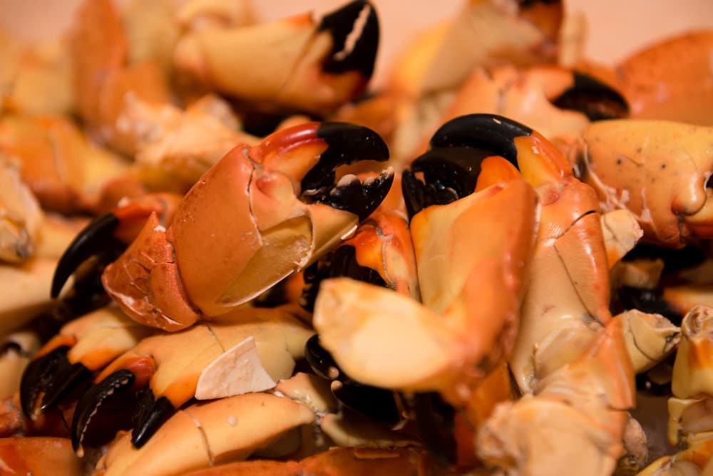 stone crabs 2017 Jimmy Johnson's National Billfish Championship