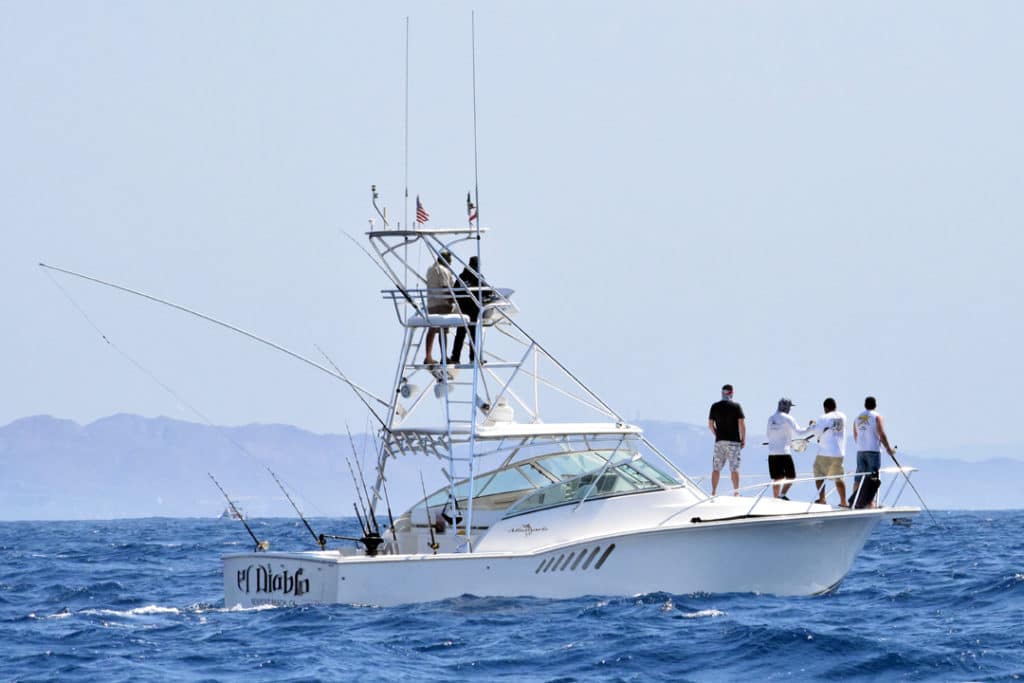 2016 Cabo Summer Slam Pelagic Gear baiting a striped marlin