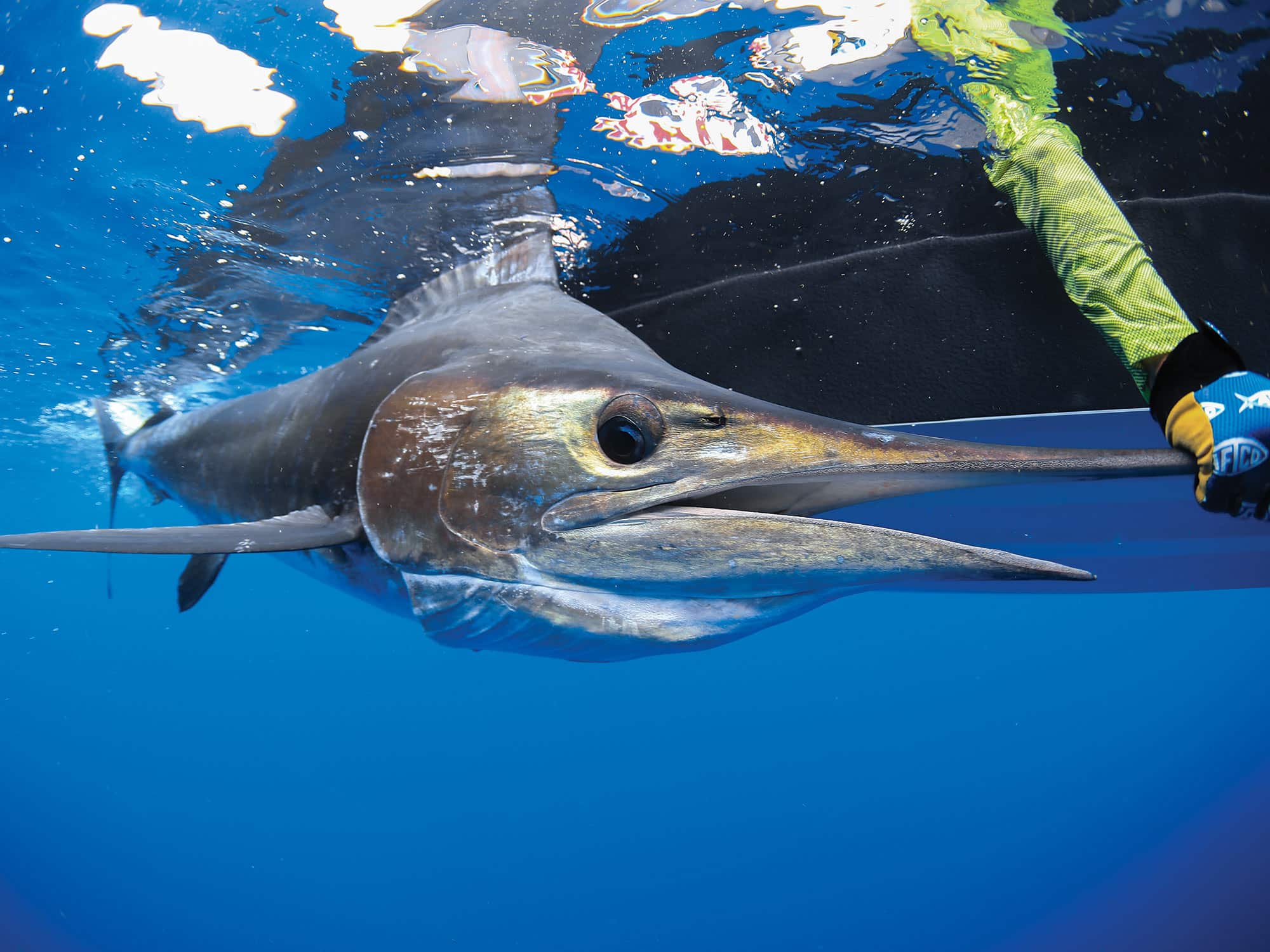 Aussie Fantasy Slam | Marlin