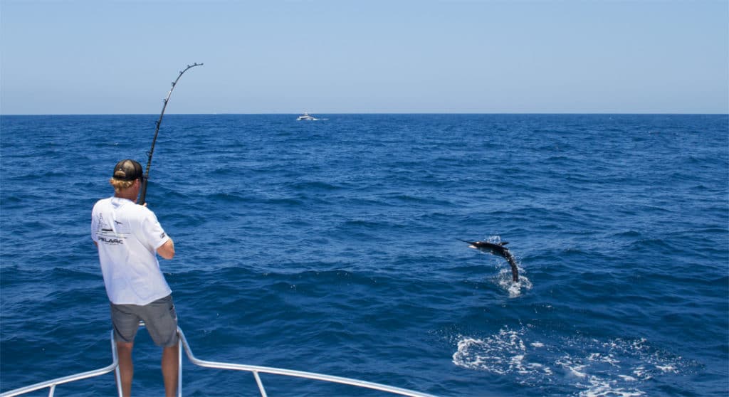 2016 Cabo Summer Slam Pelagic Gear striped marlin jumping from the bow