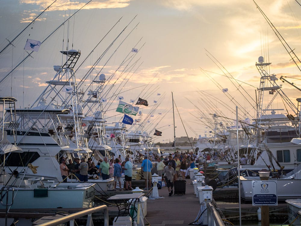 2017 carolina billfish cup
