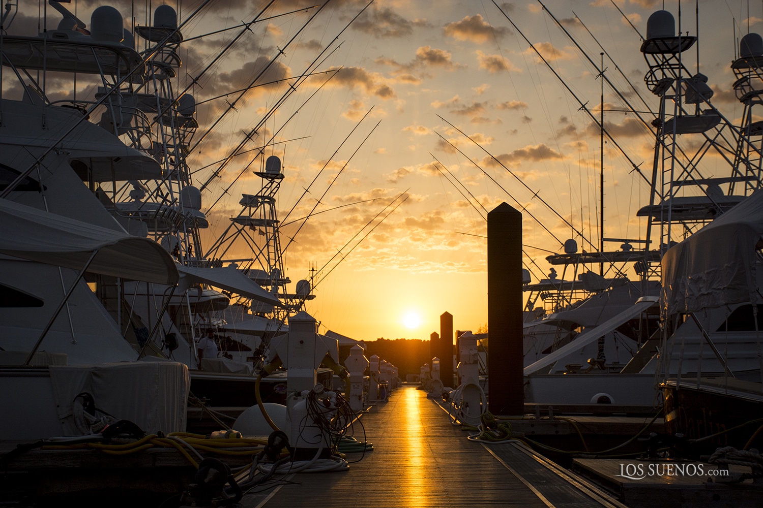 Los Sueños Signature Triple Crown Leg 3 Photo Gallery Marlin