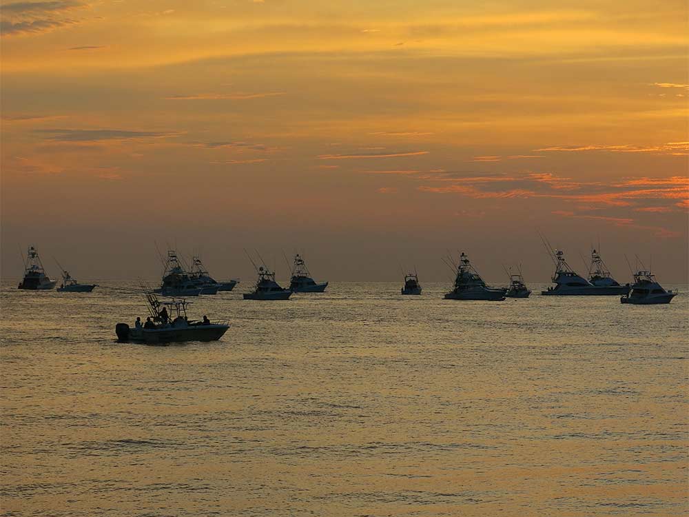 sunset east cape mexico tournament