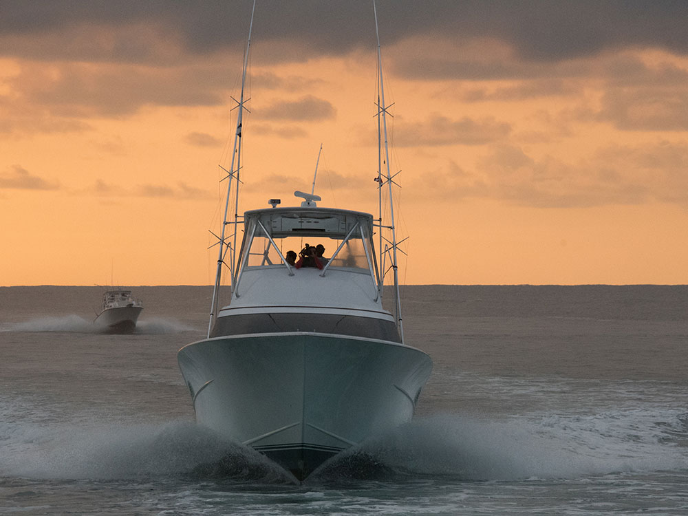 2017 flor de cana international billfish tournament nicaragua