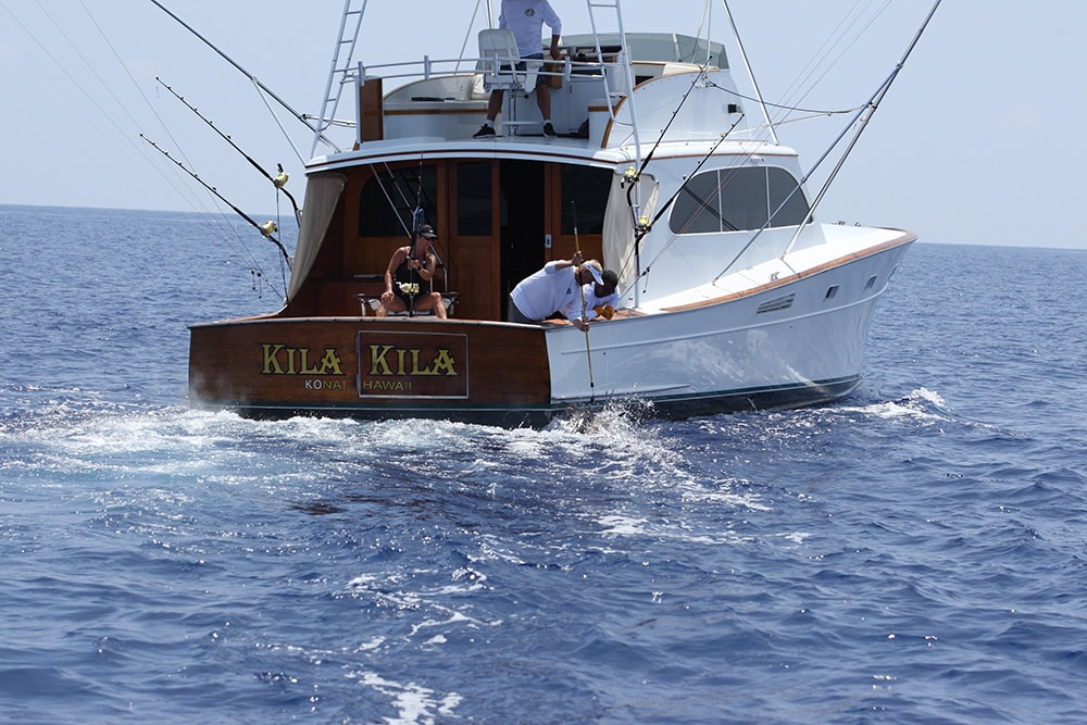blue marlin tag and release
