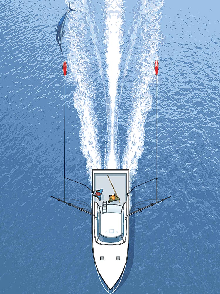 teasing a billfish