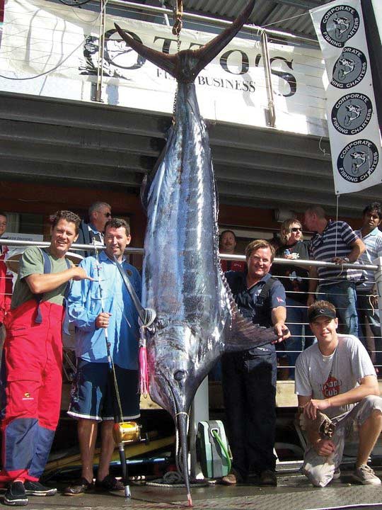 A group of men standing around a large marlin.