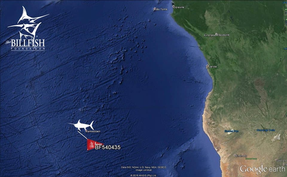 Swordfish Tag and Recapture Billfish Foundation