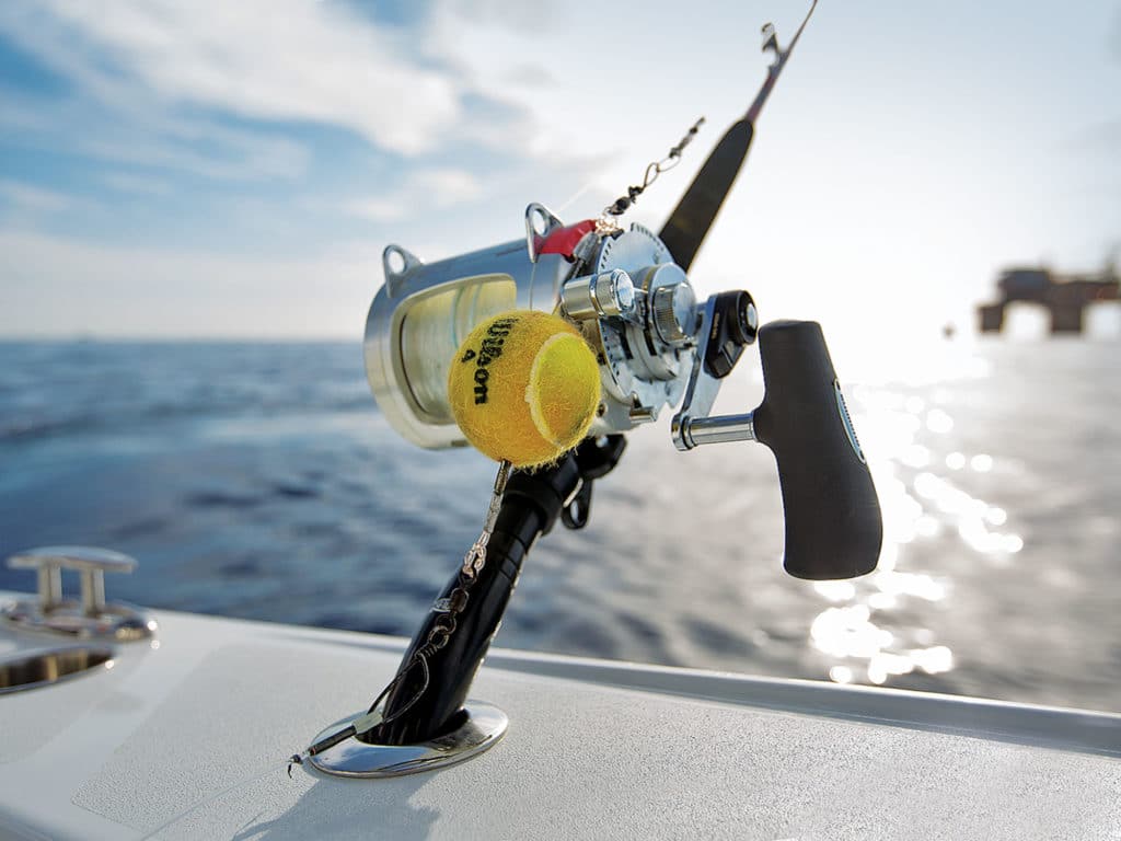 Blue Marlin Gulf of Mexico