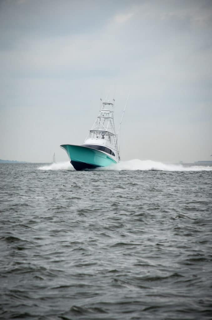2016 Megadock Billfishing Tournament South Carolina Governor's Cup Billfishing Series