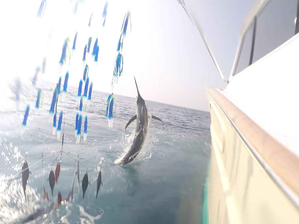 2017 Offshore World Championship Quepos Costa Rica