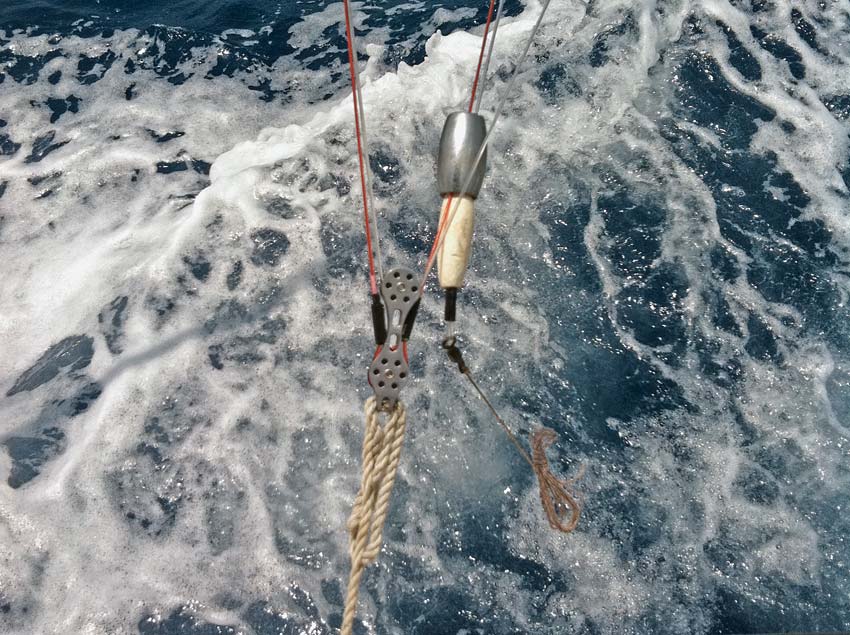 halyard weight