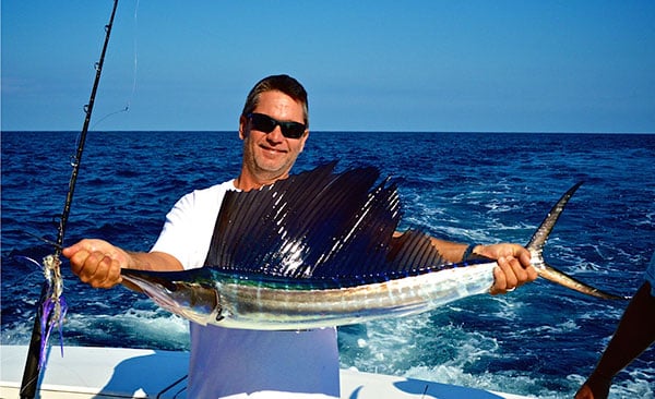 Baby Sailfish picture