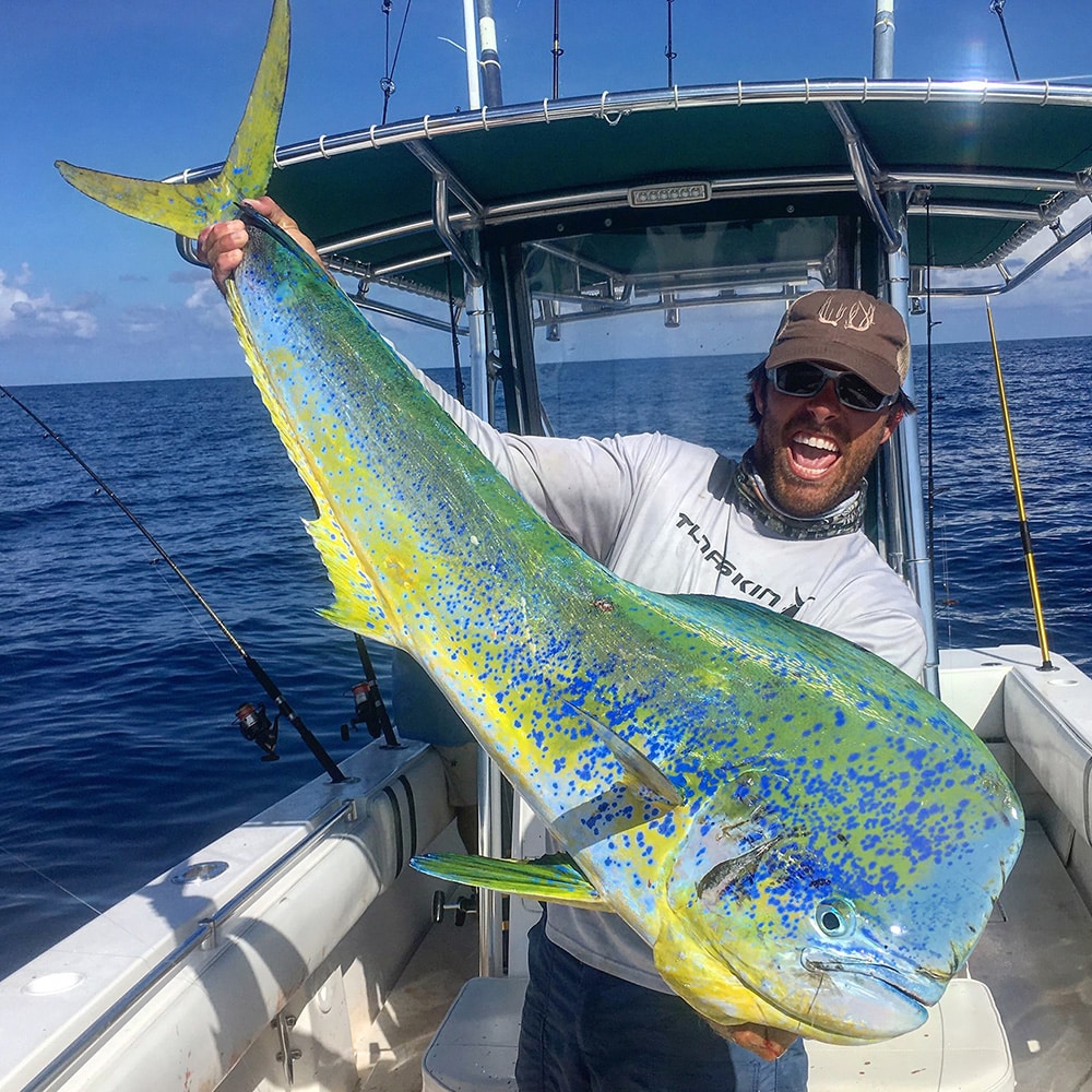 dorado color