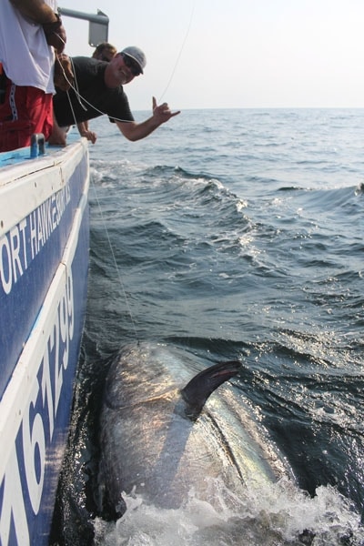 Nova Scotia Tuna