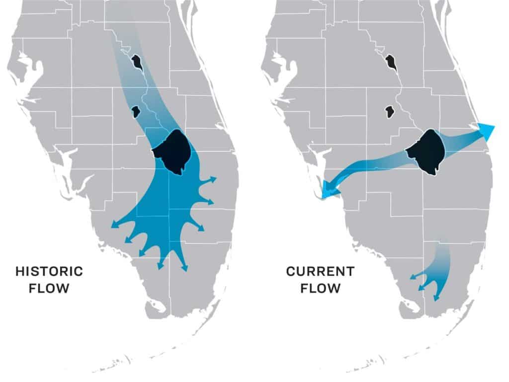 A digital rendering of Florida waterflows.