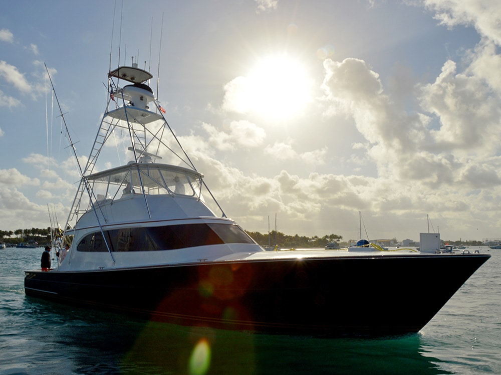 2018 sailfish challenge tournament