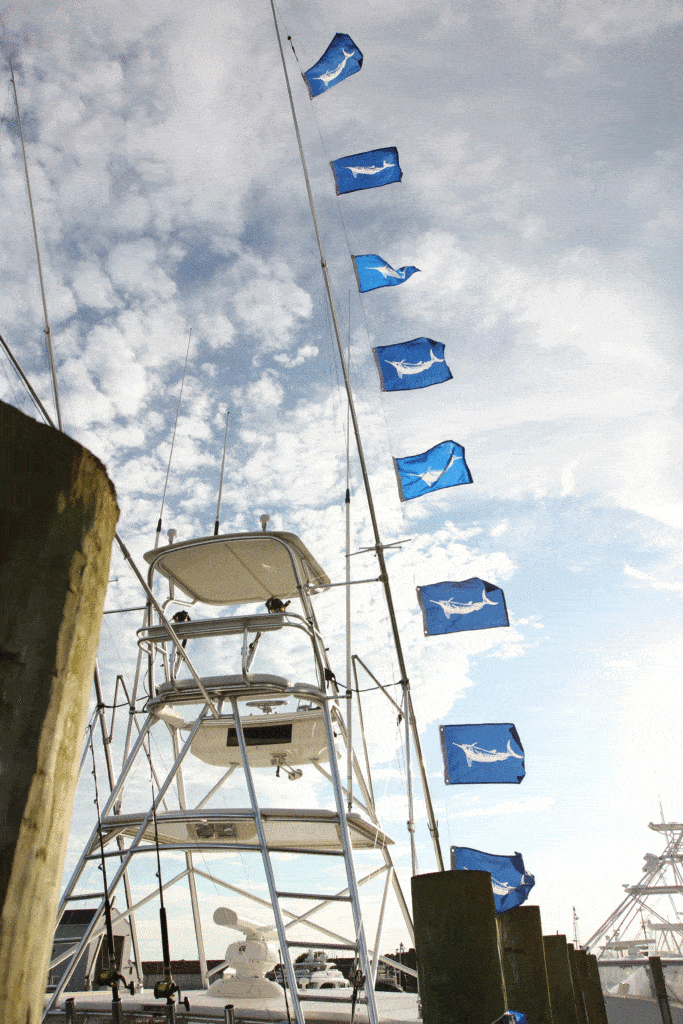 2016 White Marlin Open Ocean City Maryland release flags