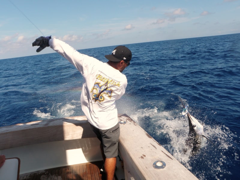 white-marlin129.jpg