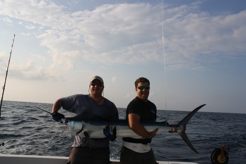 white-marlin181.jpg