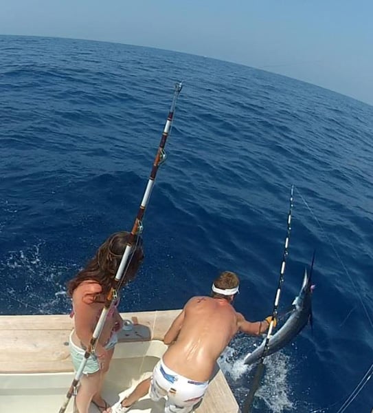white-marlin199.jpg
