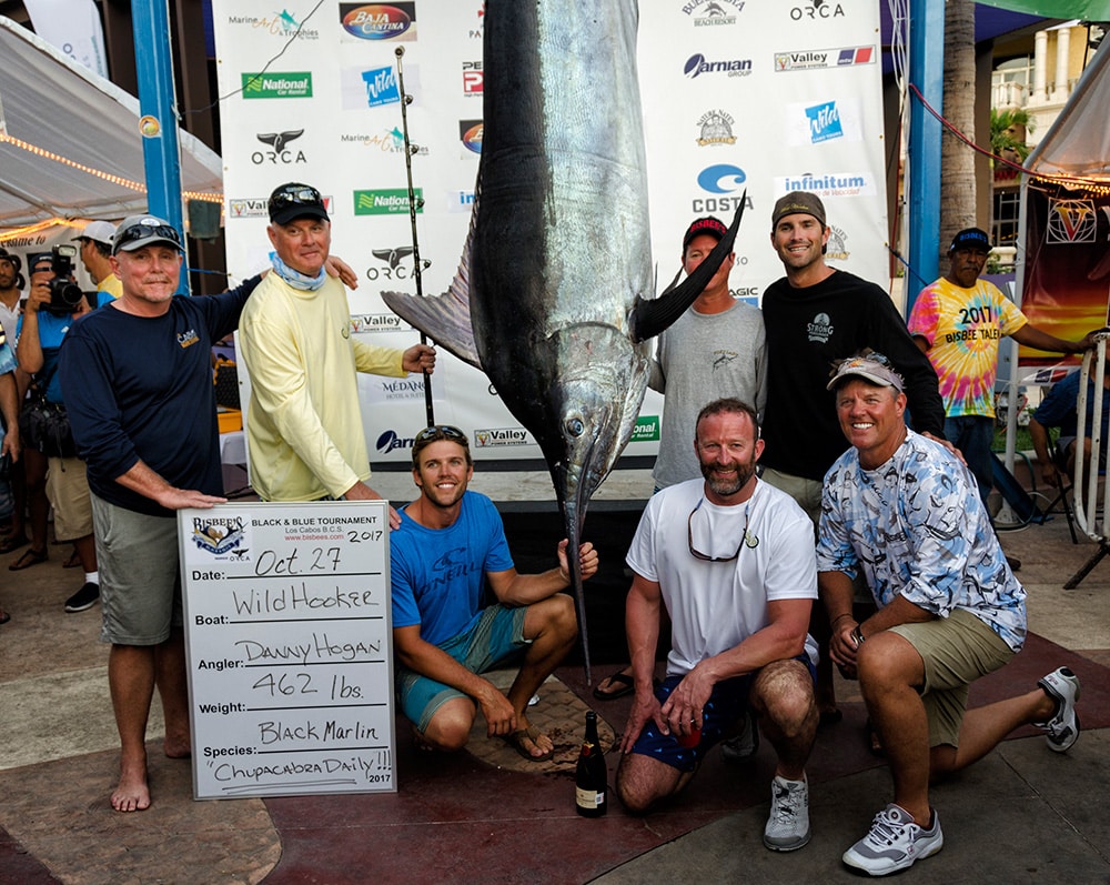 black marlin at scales