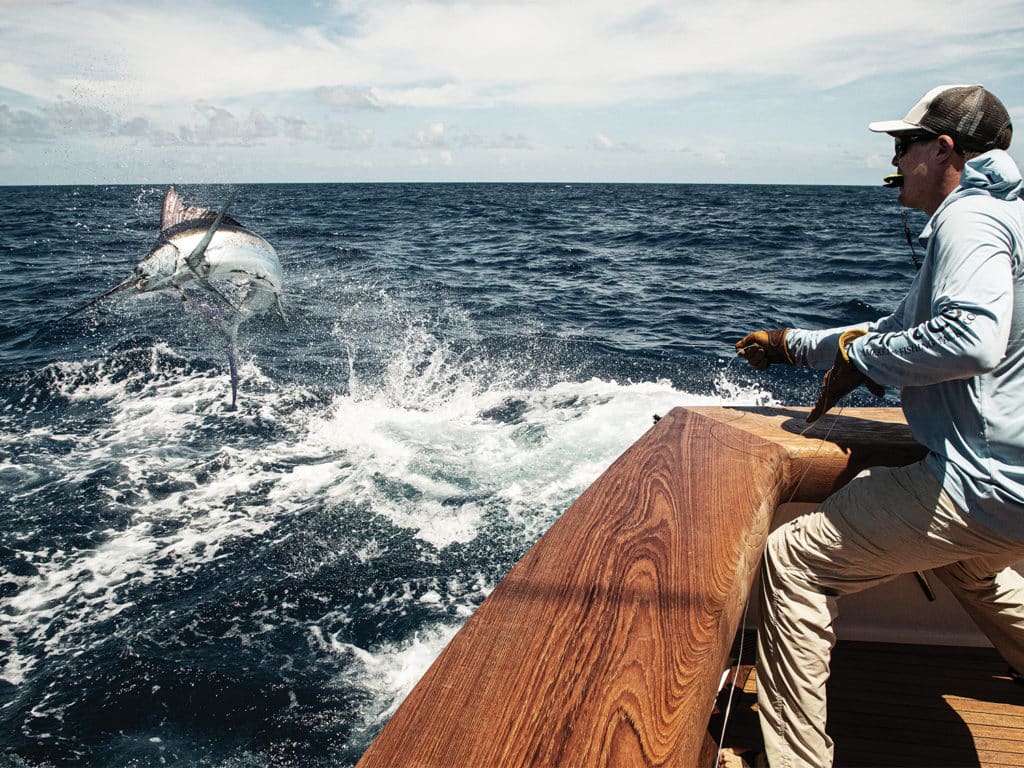 A wireman pulling a marlin towards the boat side.