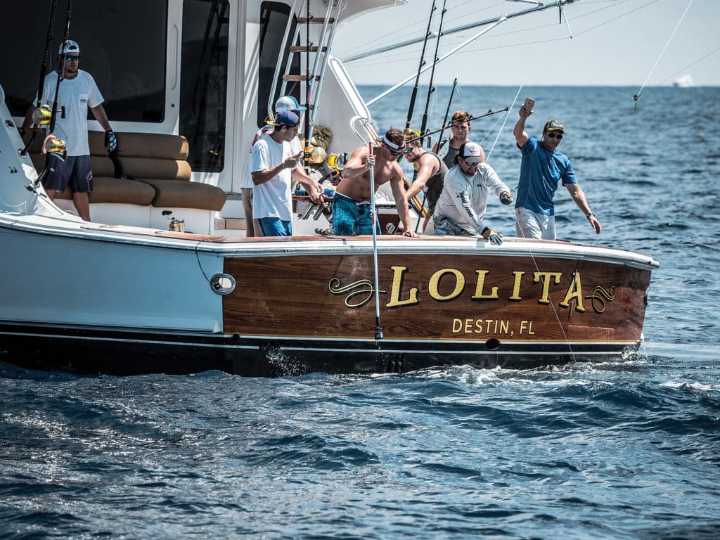 lolita team wiring a blue marlin in the gulf of mexico
