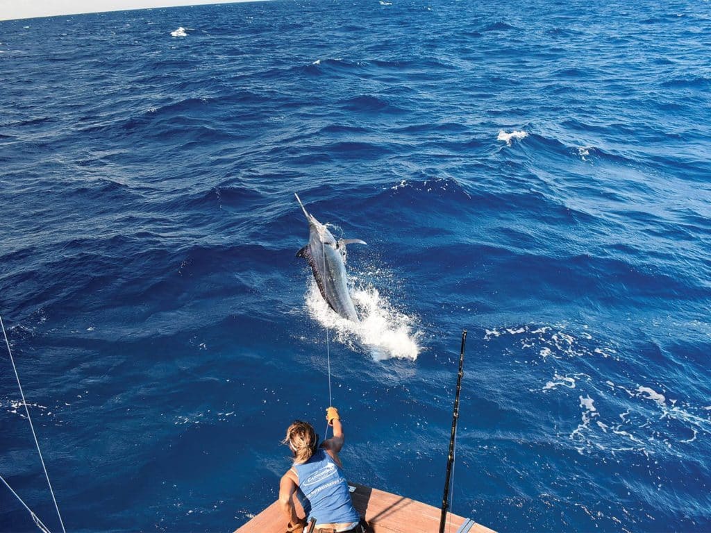 Tara Thompson-Disnard leaders a Kona blue marlin.