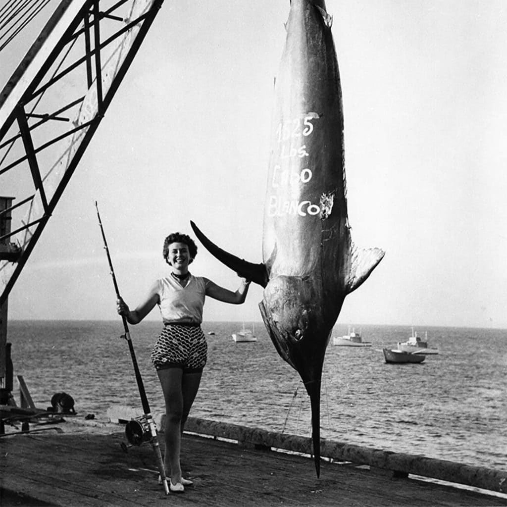 A woman stands next to a large black marlin.